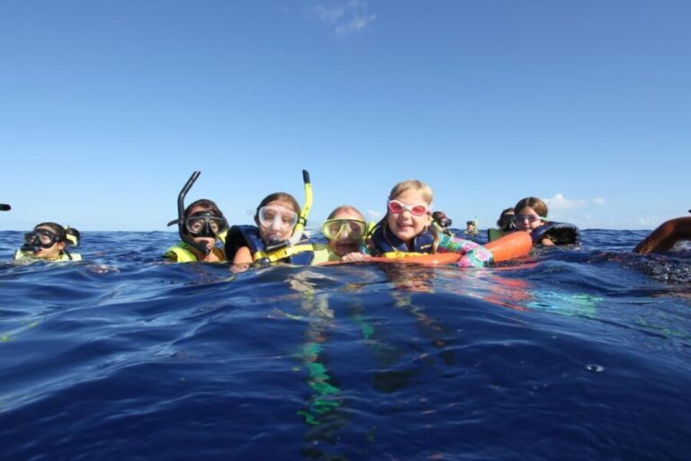 Oahu: Speedboat Snorkeling Adventure and Wild Dolphin Swim - Practical Information and Tips