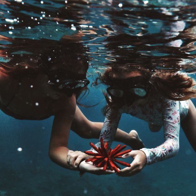 Oahu: Turtle Canyon Snorkeling Boat Tour - A Deep Dive into the Experience