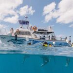 Oahu: Turtle Canyon Snorkeling & Hula Dance - Highlights of the Experience