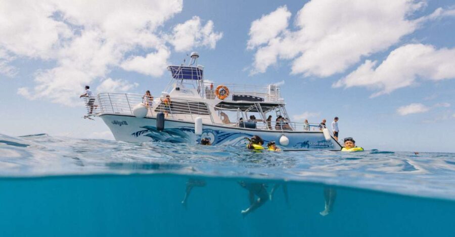 Oahu: Turtle Canyon Snorkeling & Hula Dance - Highlights of the Experience