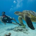 Oahu: Waikiki Discovery Scuba Diving for Beginners - Authentic Insights from Reviews
