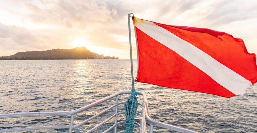 Oahu: Waikiki Turtle Canyons Cruise and Snorkel Excursion - Practical Tips for Booking and Enjoying the Tour