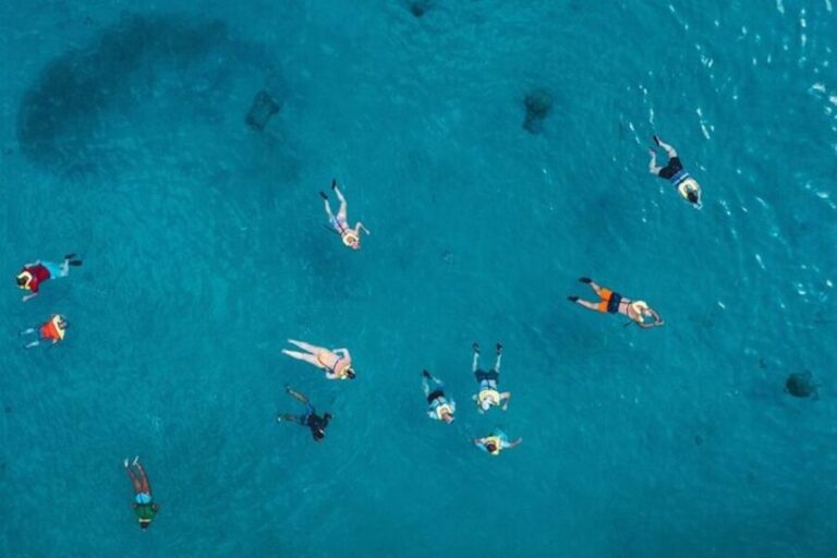 Oahu: Waikiki Turtle Snorkeling Adventure Cruise - Final Thoughts