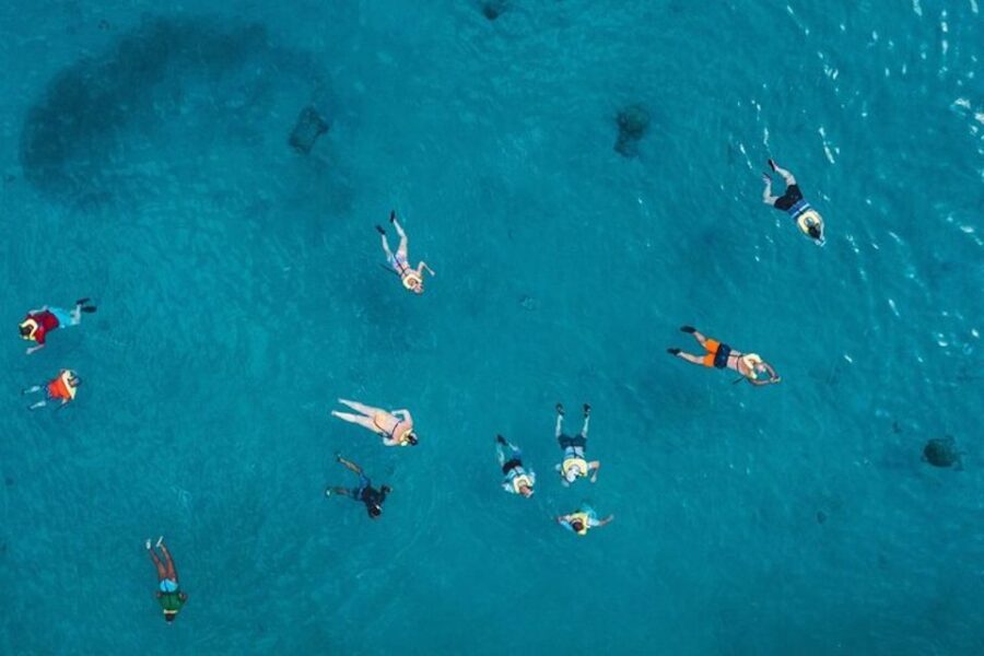 Oahu: Waikiki Turtle Snorkeling Adventure Cruise - Final Thoughts