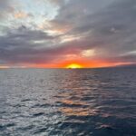 Oahu: Whale Sail Charter - The Itinerary in Detail