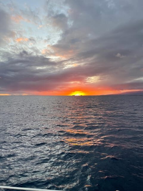 Oahu: Whale Sail Charter - The Itinerary in Detail