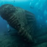 Oahu: Wreck & Reef Scuba Dive for Certified Divers - Why This Tour Is Worth Considering