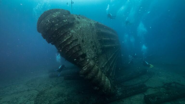 Oahu: Wreck & Reef Scuba Dive for Certified Divers - Why This Tour Is Worth Considering