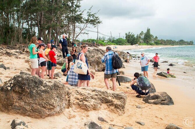 Oahu's Cheapest Circle Island Tour - What We Love About This Tour