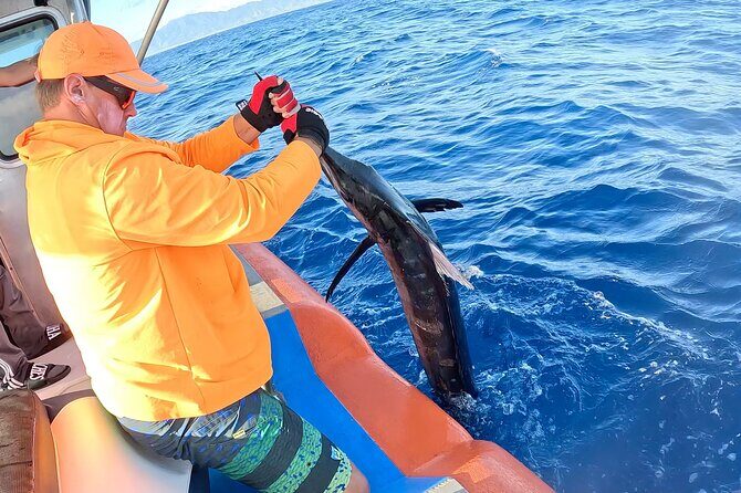 Oahu's Unique Whale Watching and Fishing Charter - The Itinerary: A Balance of Wildlife and Fishing