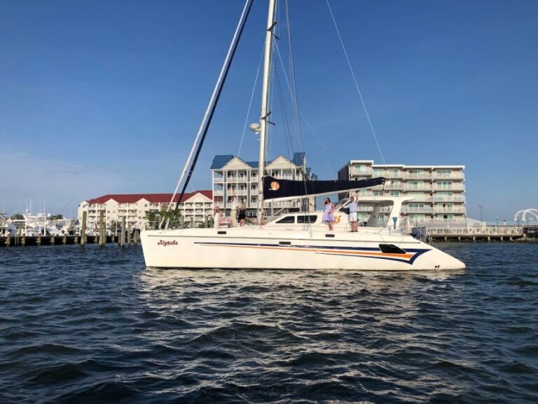 Ocean City: Assateague Island Morning Cruise - What’s Included and What to Consider