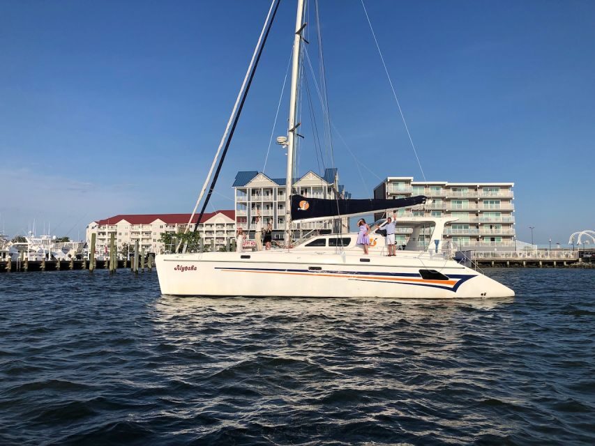 Ocean City: Assateague Island Morning Cruise - What’s Included and What to Consider