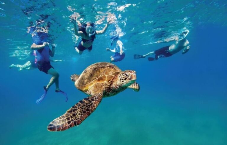 Ocean Reef Snorkeling and Paddleboarding - The Practical Side: Pricing and Value