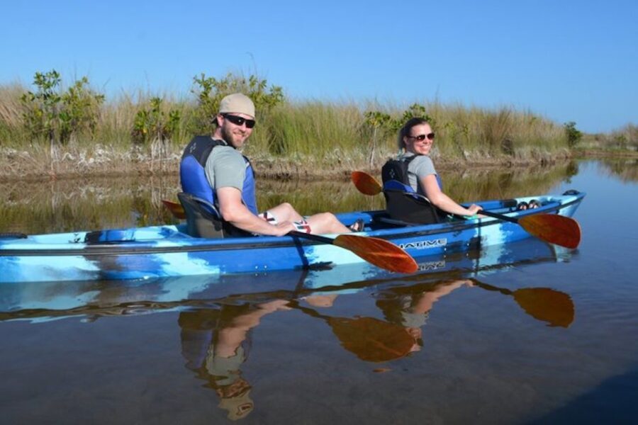 Ochopee: Half-Day Mangrove Tunnel Kayak Tour - What To Expect and Practical Tips