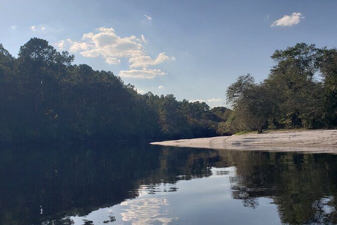 Okefenokee Swamp: Guided Kayak Tour with a Local Naturalist - Why This Tour Is a Great Choice