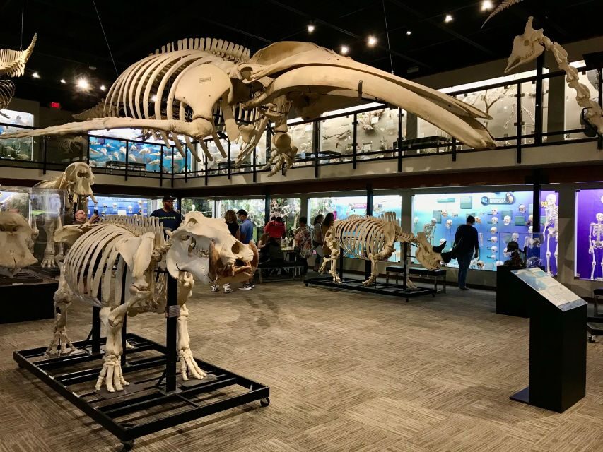 Oklahoma City: SKELETONS: Museum of Osteology Ticket - The Itinerary Breakdown and What You Can Expect