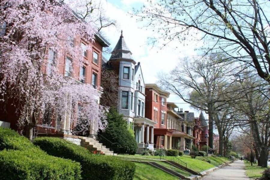 Old Louisville: History and Architecture Walking Tour - Who Would Love This Tour?