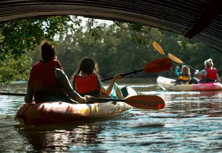 Oleta River State Park: Eco Kayak or Paddleboard Tour - Is This Tour for You?