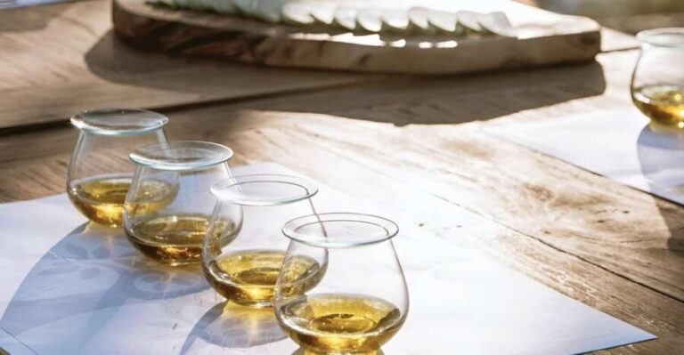 Olive Oil, Cheese, and Wine Tasting with Local Expert - An In-Depth Look at the Olive Oil, Cheese, and Wine Experience