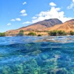 Olowalu: Guided Clear Kayak Tour - Unlimited - In-Depth Analysis of the Tour Elements