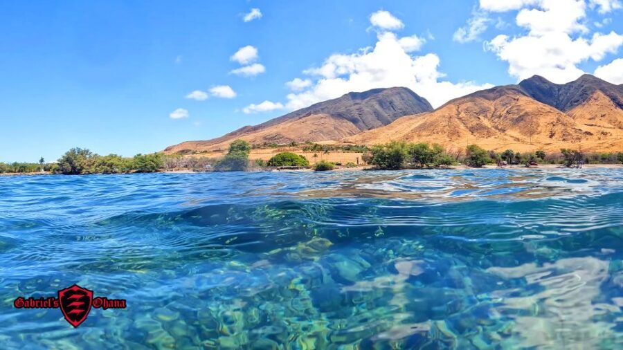 Olowalu: Guided Clear Kayak Tour - Unlimited - In-Depth Analysis of the Tour Elements