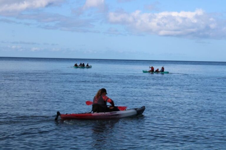 Olowalu: Guided Kayak and Snorkeling Tour - Unlimited - The Sum Up