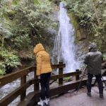 Olympic National Park: Half-Day Tour - What Makes This Tour Special
