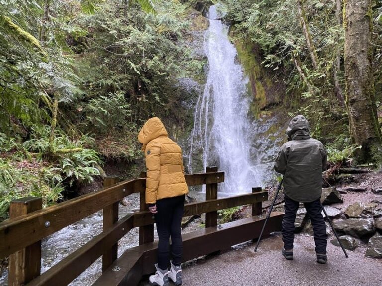 Olympic National Park: Half-Day Tour - What Makes This Tour Special