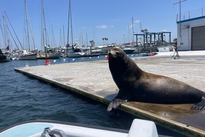 One Hour Cruise Around Marina del Rey - What’s Included and What’s Not