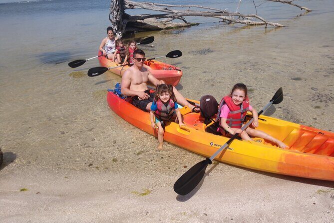 One Single Kayak Rental for 2 hours with Manatee & Dolphin sightings! - Who Will Love This Experience?