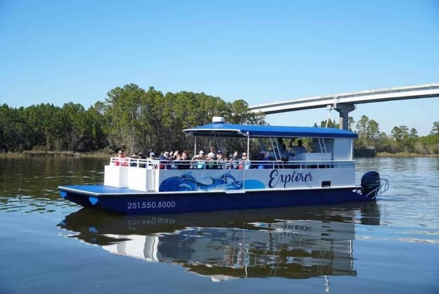 Orange Beach: Dolphin Eco Sunset Cruise aboard The Explorer - Final Thoughts