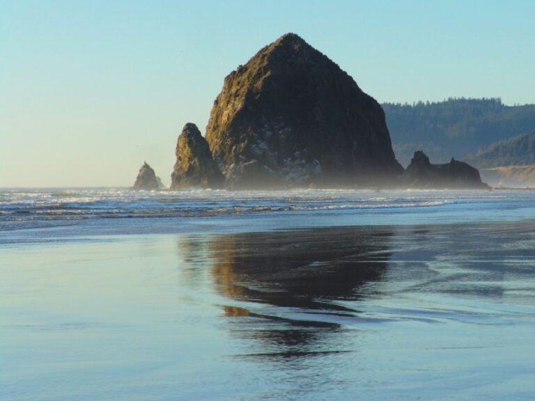 Oregon Coast Day Tour: Cannon Beach and Haystack Rock - What Makes This Tour Stand Out?