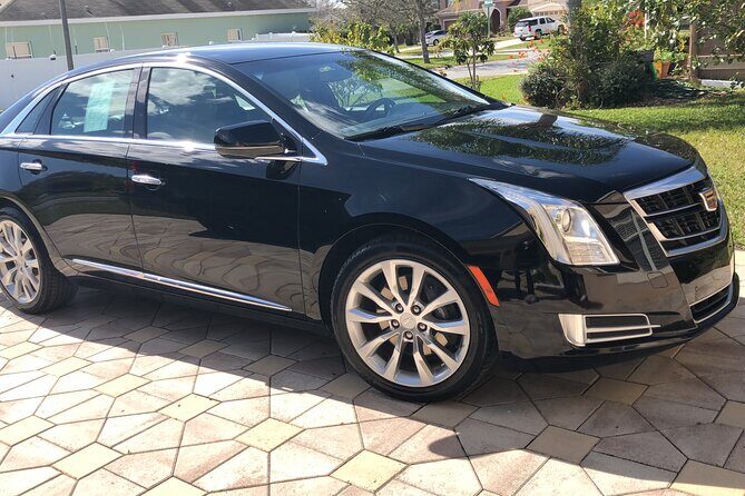 Orlando Airport MCO to Port Canaveral Luxury Sedan - Detailed Breakdown of the Journey