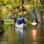 Orlando Alligator Experience: Day-Trip From Orlando - Who Will Love This Tour?