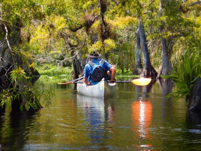 Orlando Alligator Experience: Day-Trip From Orlando - Who Will Love This Tour?