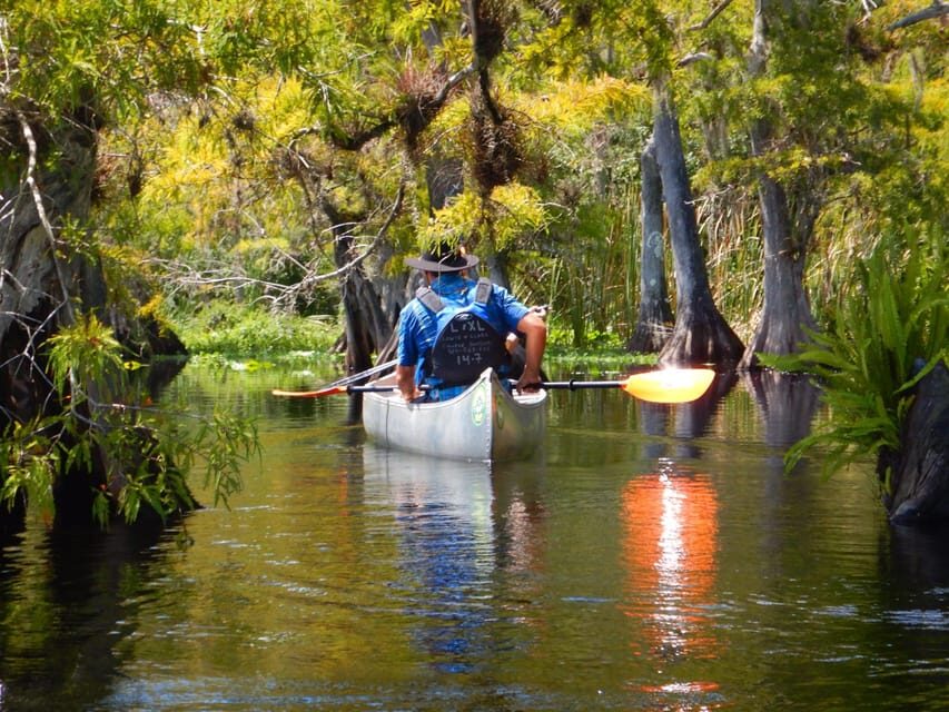 Orlando Alligator Experience: Day-Trip From Orlando - Who Will Love This Tour?