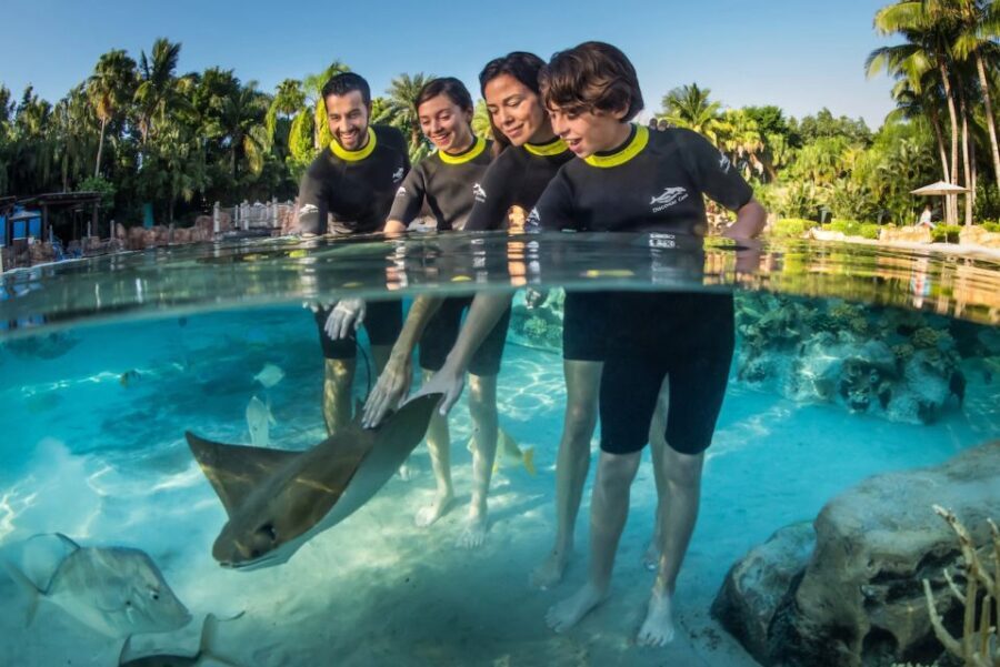 Orlando: Discovery Cove Admission Ticket & Additional Parks - Reviews That Matter