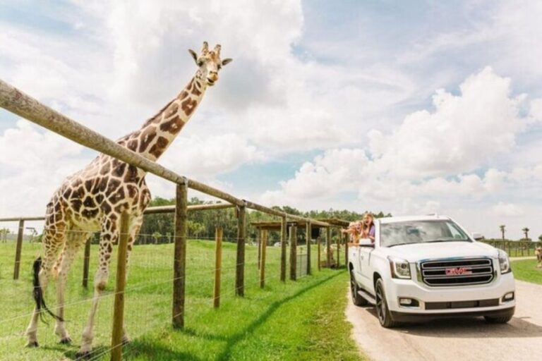 Orlando: Drive-Thru Safari Park at Wild Florida - Wildlife Encounters and Highlights