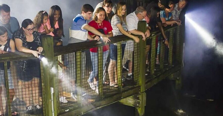 Orlando: Gatorland Flashlight Tour at Night - The Experience: What to Expect on the Gatorland Flashlight Tour at Night