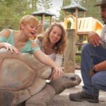 Orlando: Gatorland Interactive Tour with Animal Trainer - Is This Tour Worth the Price?