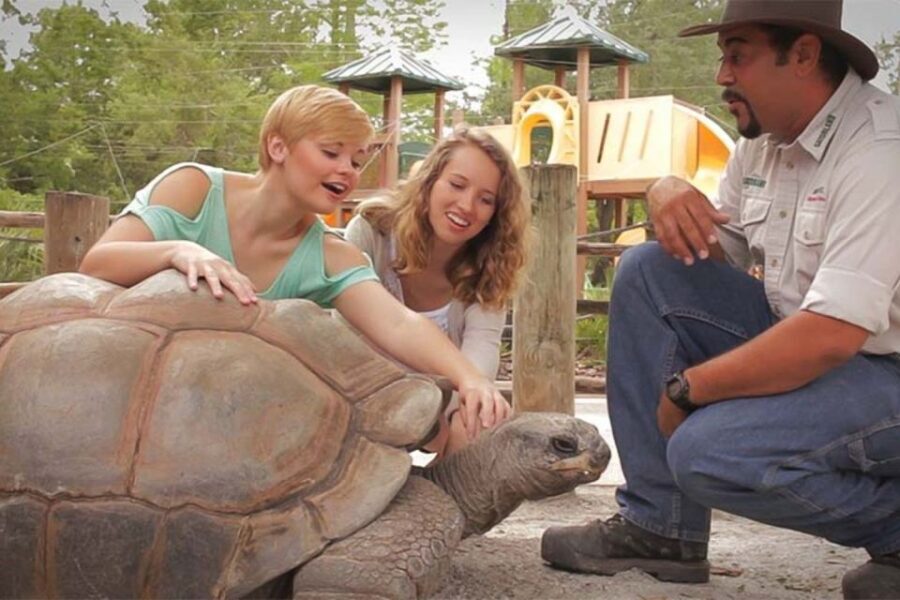 Orlando: Gatorland Interactive Tour with Animal Trainer - Is This Tour Worth the Price?