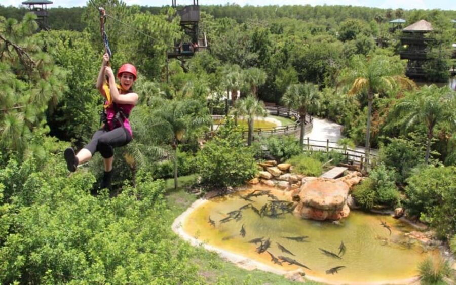 Orlando: Gatorland Zipline Adventure w/ Full-Day Park Access - Value & Overall Impression