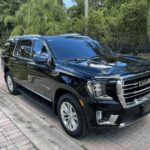 Orlando: MCO Airport - Disney Resorts Luxury Transfer - Who Should Consider This Service?