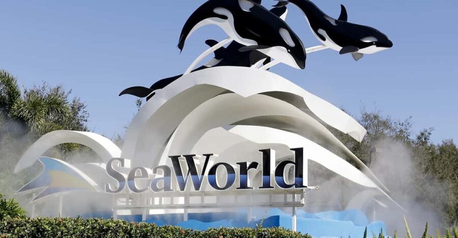Orlando: SeaWorld Shuttle Service - FAQs