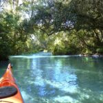 Orlando: Small Group Rock Springs Run Kayak Tour - Final Thoughts