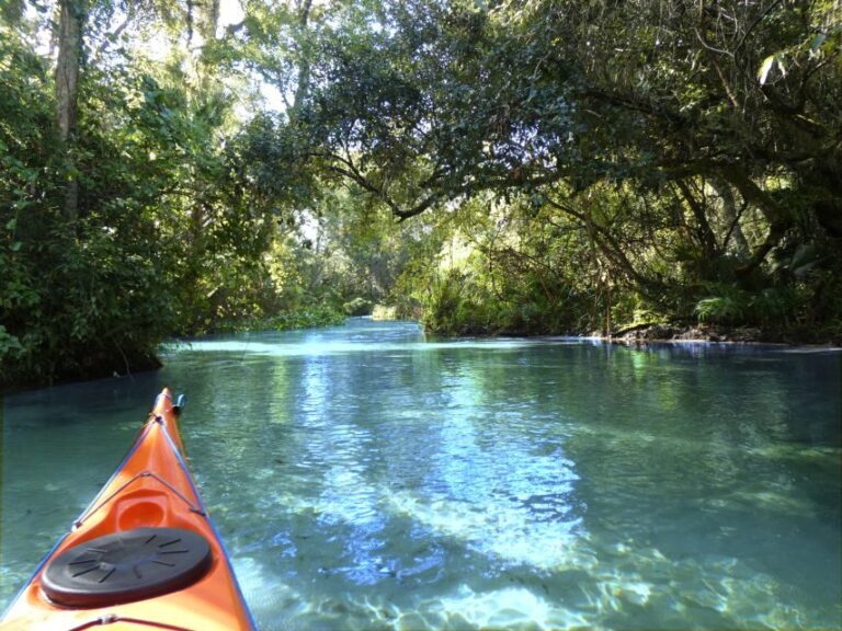 Orlando: Small Group Rock Springs Run Kayak Tour - Final Thoughts