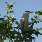 Orlando: Small Group Scenic Wekiva River Kayak Tour - Why Is This Tour a Great Value?