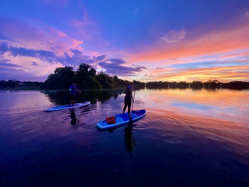 Orlando: Sunset Clear Kayak or Paddleboard in Paradise Tour - Who Will Love This Experience?