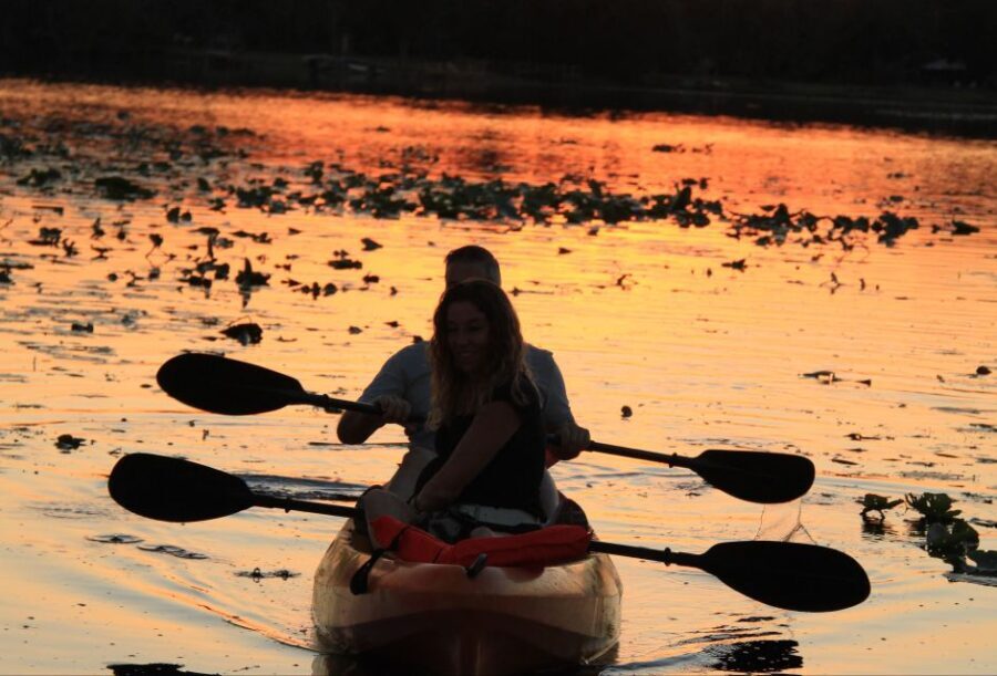 Orlando: Sunset guided kayaking tour - Who Should Book This Experience?