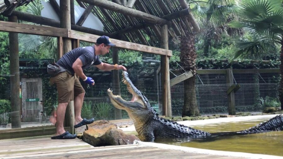 Orlando: Wild Florida Park Ticket and Gator Shows - Authentic & Practical Insights from Visitors